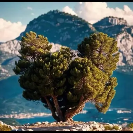 Appartement A Casa Di Leia *