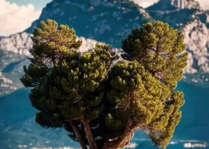 Appartement A Casa Di Leia *